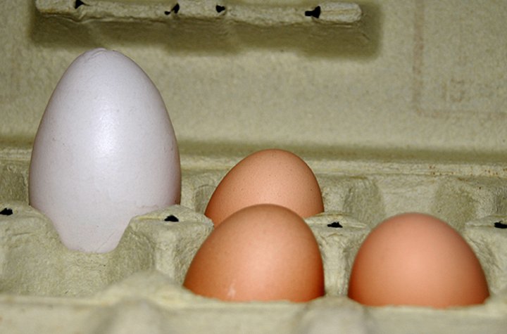 Eggs Shell Overcome
